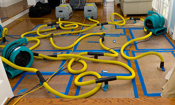 Professional Water Damage Restoration technician working in Booneville, AR